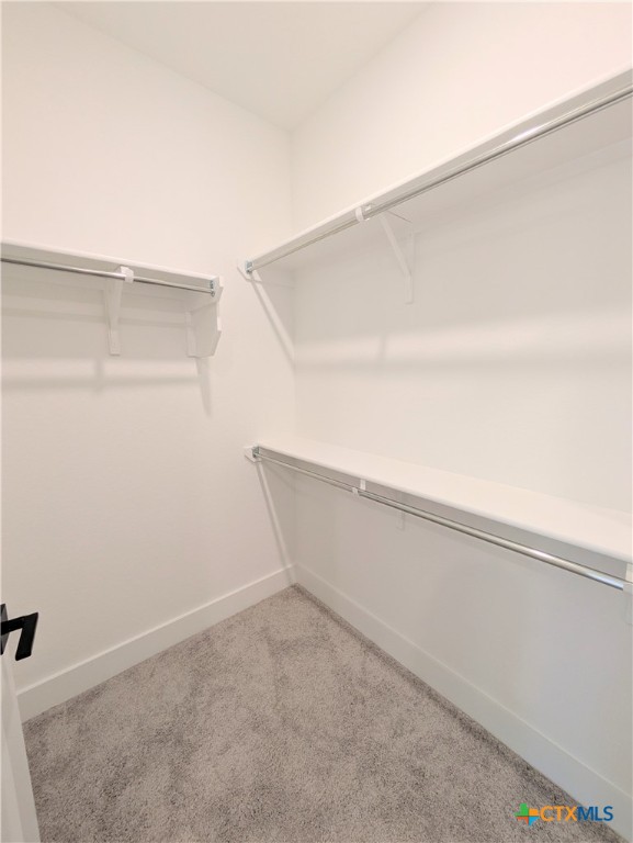 1005 Easy Gruene Property Photo 31