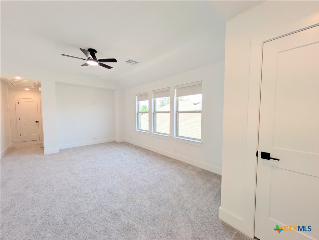 1005 Easy Gruene Property Photo 35