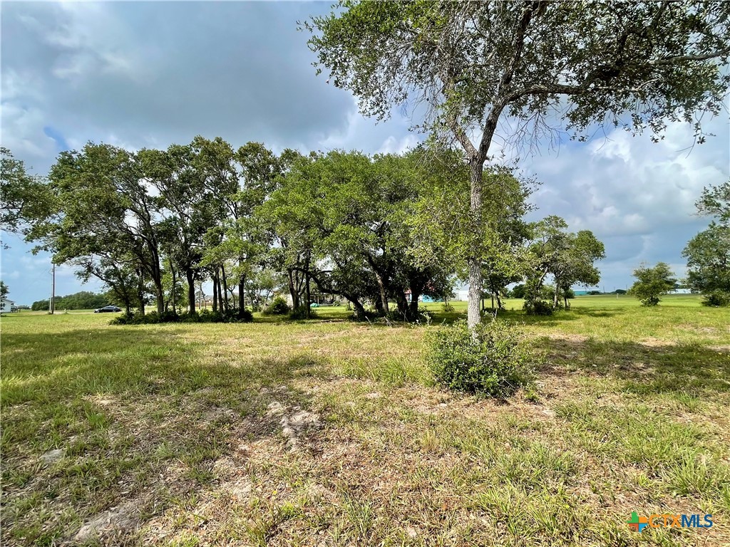 67 W Dewberry Lane Property Photo 1