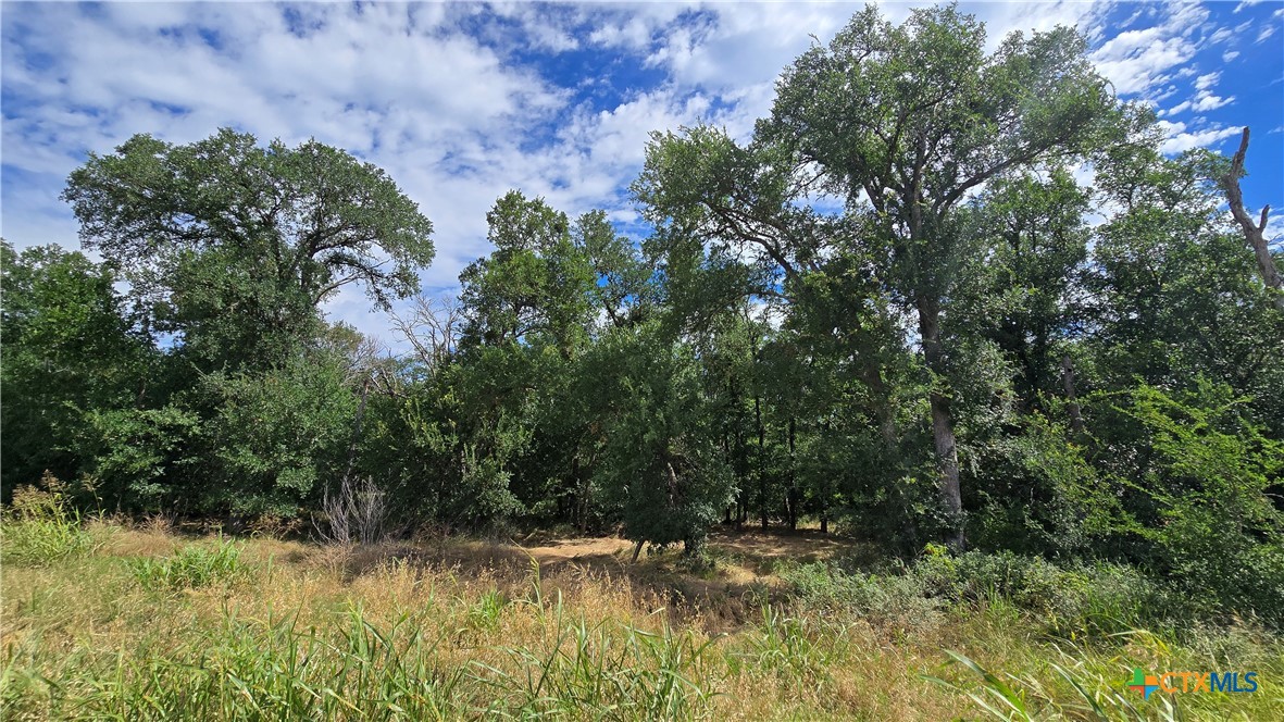 3510 Cen Tex Loop Property Photo 18