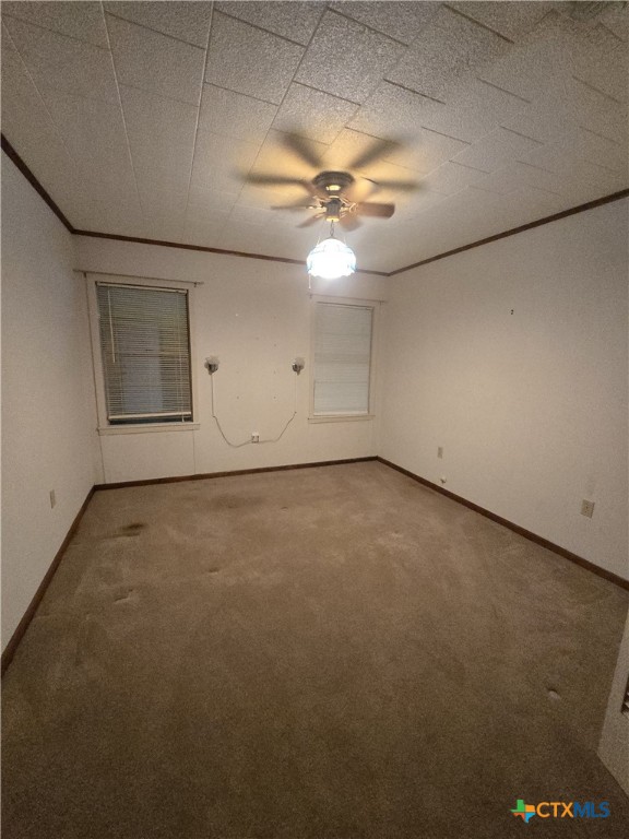 220 Davis Avenue Property Photo 22