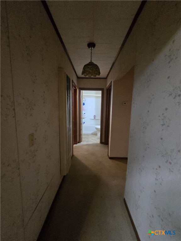 220 Davis Avenue Property Photo 28