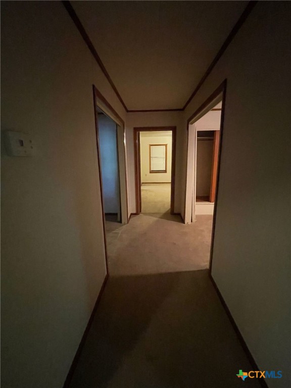 220 Davis Avenue Property Photo 30