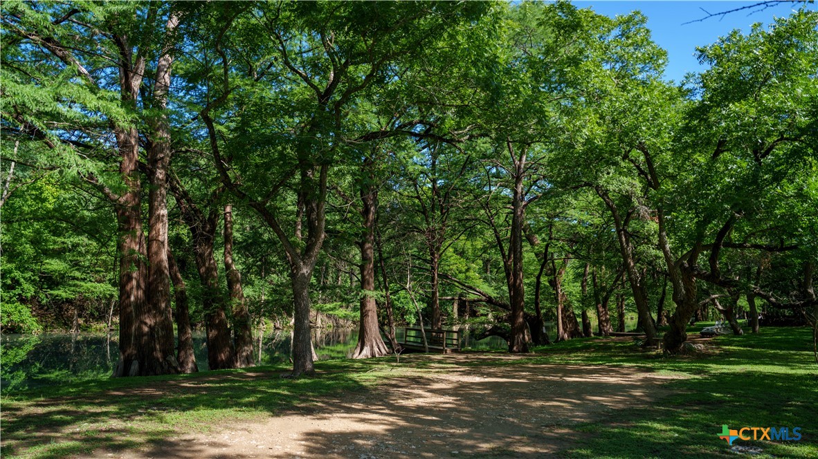 711 Chestnut Falls Property Photo 32