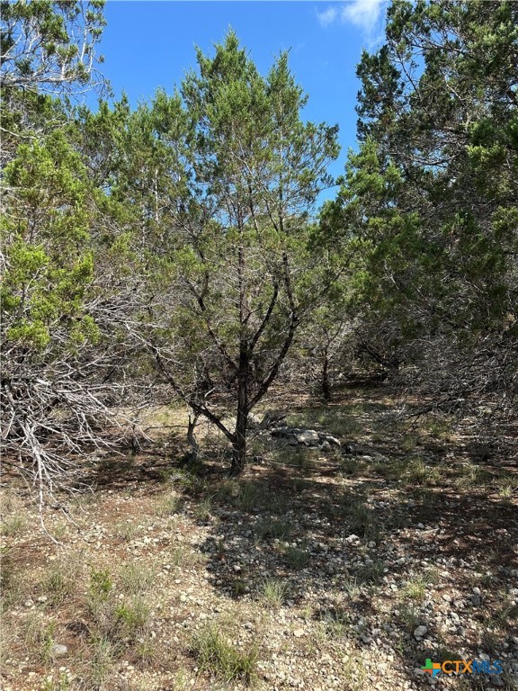 121 Agarita Drive Property Photo 1