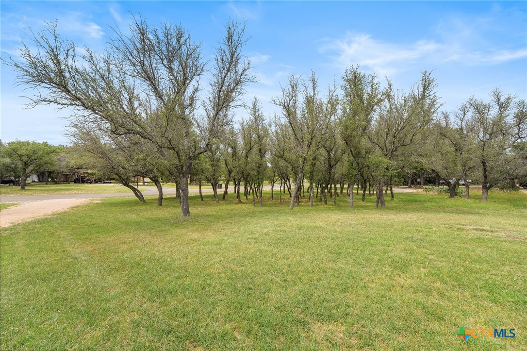 2301 Deer Trail Property Photo 38