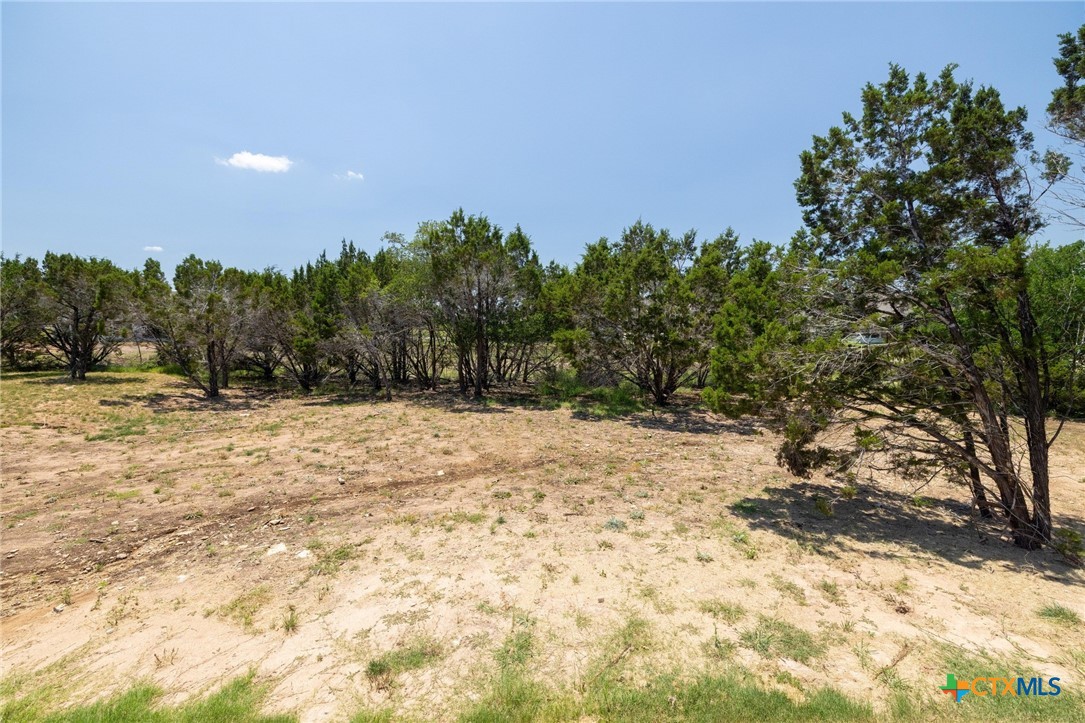 505 Wonderstruck Property Photo 33