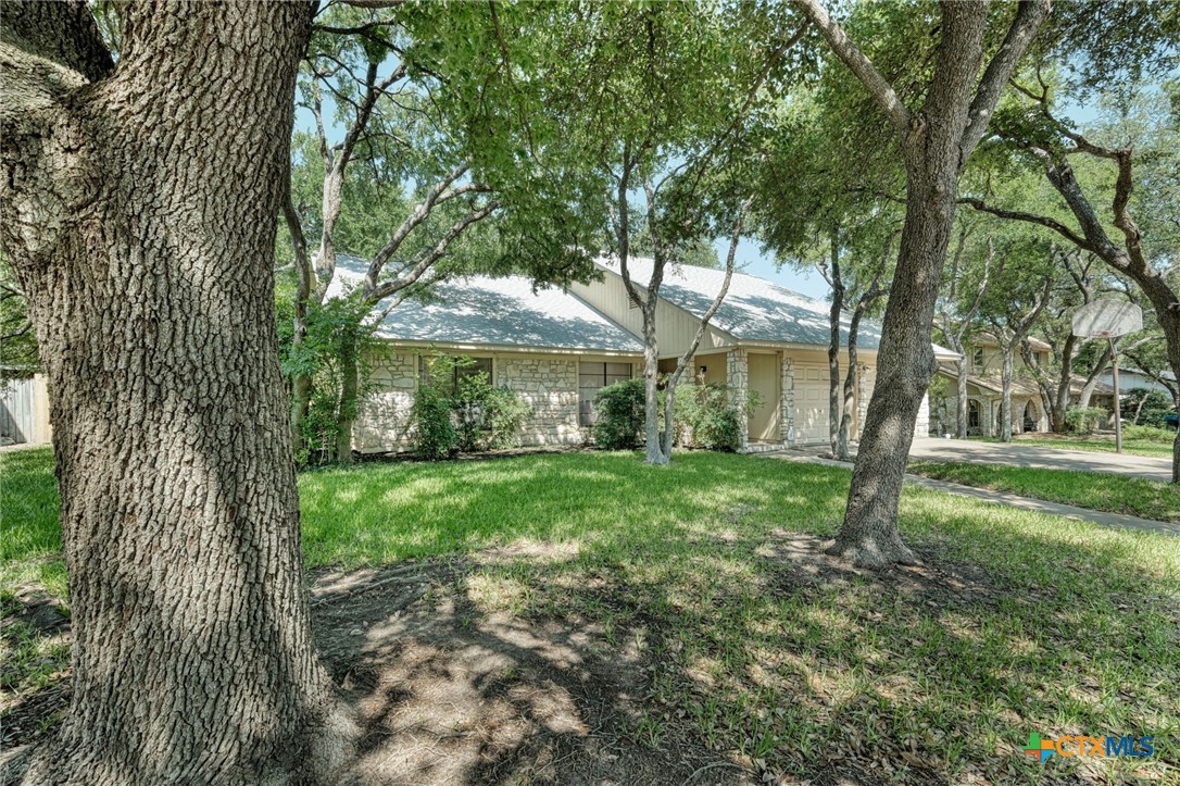 1104 Saint Williams Avenue Property Photo 4