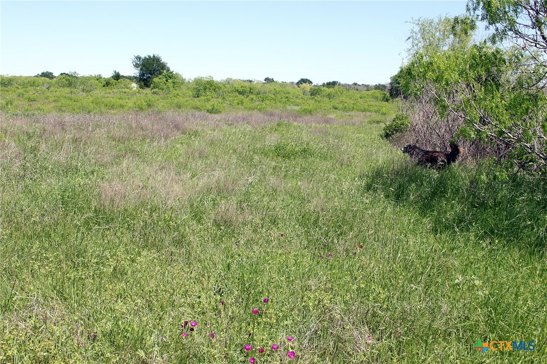 1023 Sierra Drive Property Photo 23