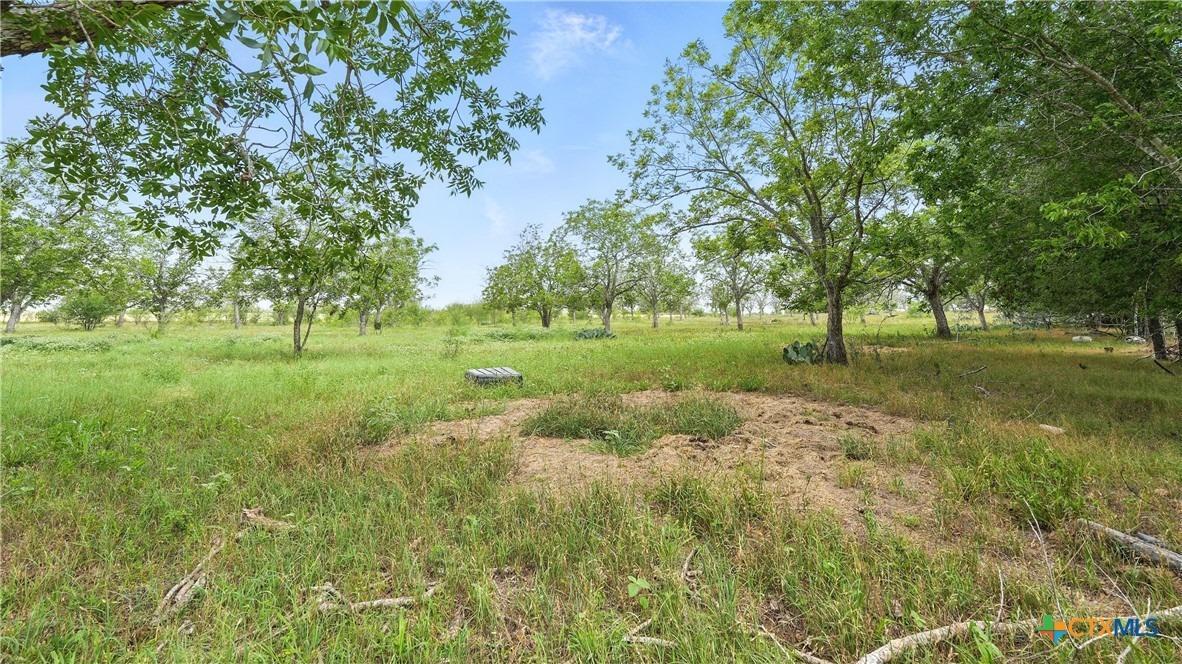 10142 Fm 537 Property Photo 11
