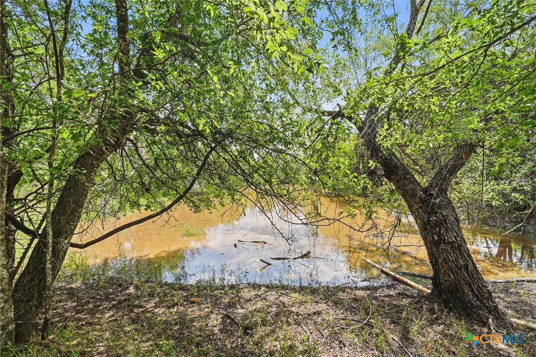 10142 Fm 537 Property Photo 8