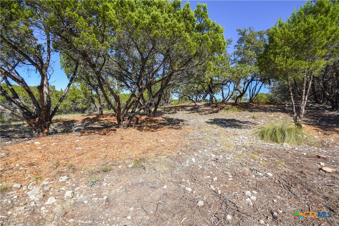 20008 Charlestown Cove Property Photo 1