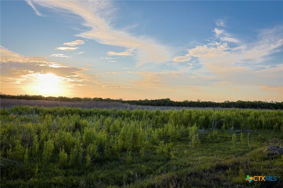 6266 Highway 281 Property Photo 1