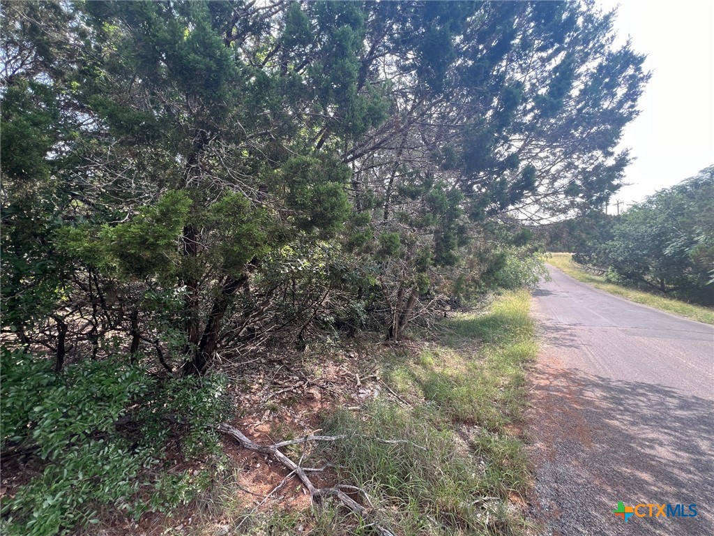 16034 Salado Drive Property Photo 1