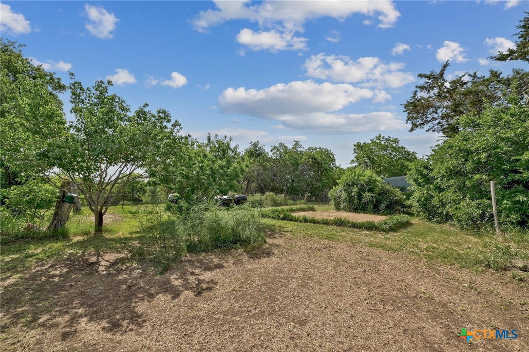 120 Buena Vista Property Photo 23