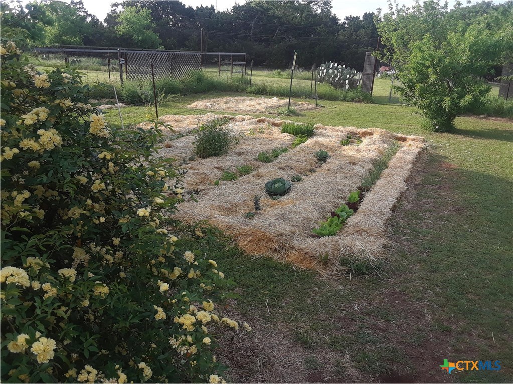 120 Buena Vista Property Photo 29