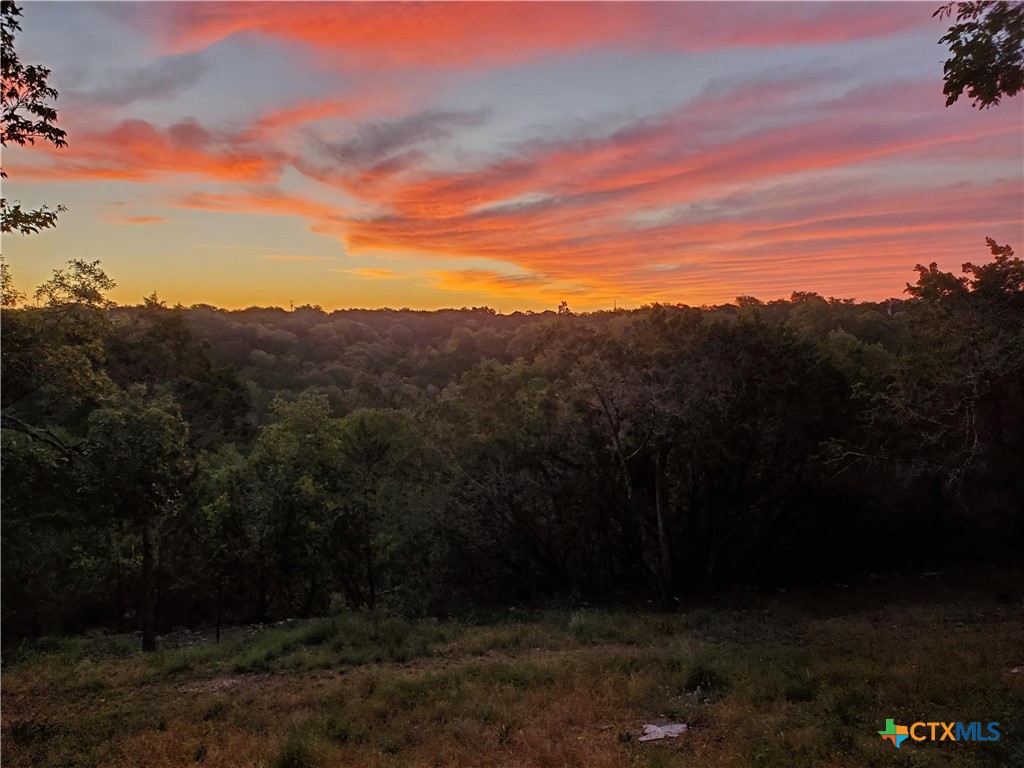 120 Buena Vista Property Photo 34