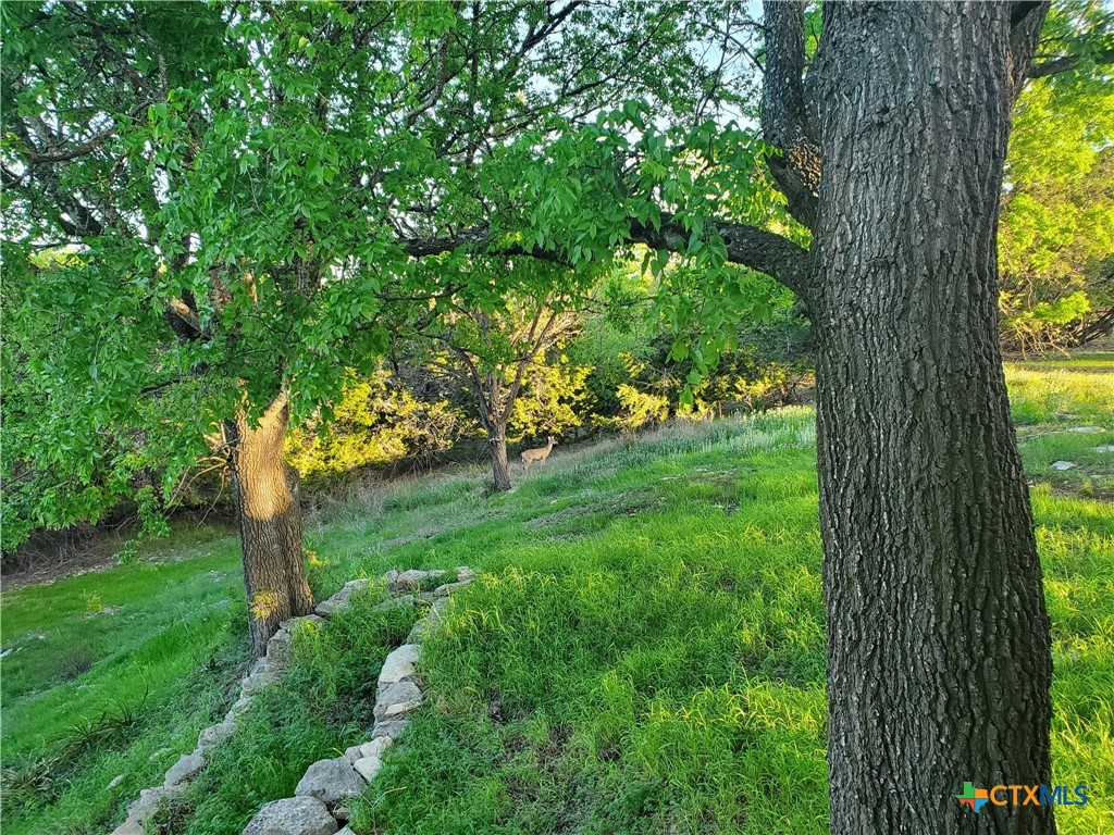120 Buena Vista Property Photo 35