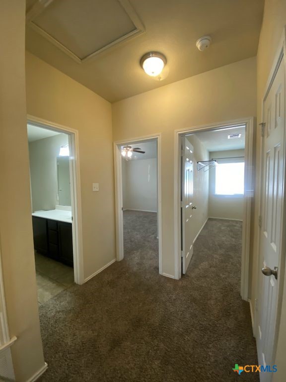 3504 Lorne Drive Property Photo 29