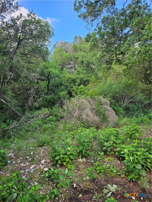 0 Happy Hollow Property Photo 1