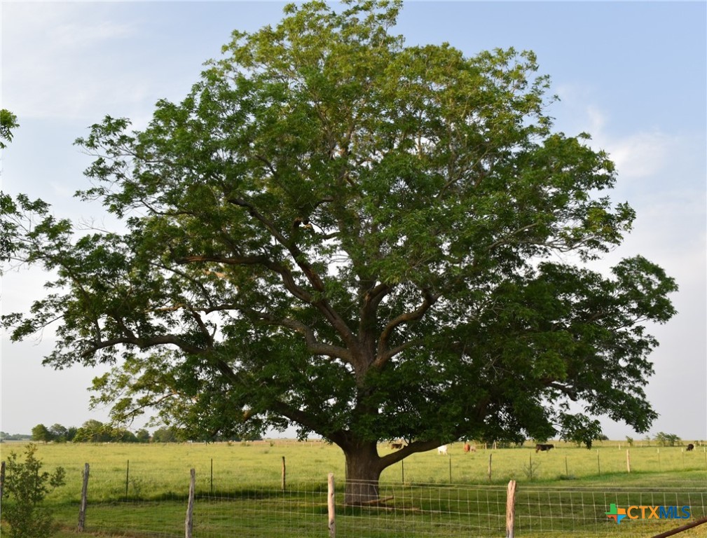 443 County Road 280 Property Photo 24