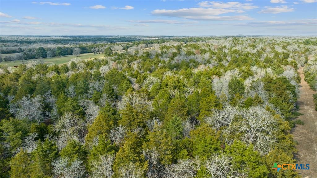 16945 Fm 713 Property Photo 1