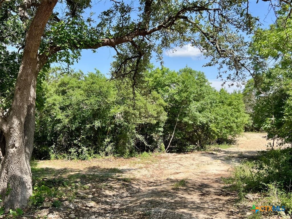 1698 S Us 281 Highway Property Photo 8