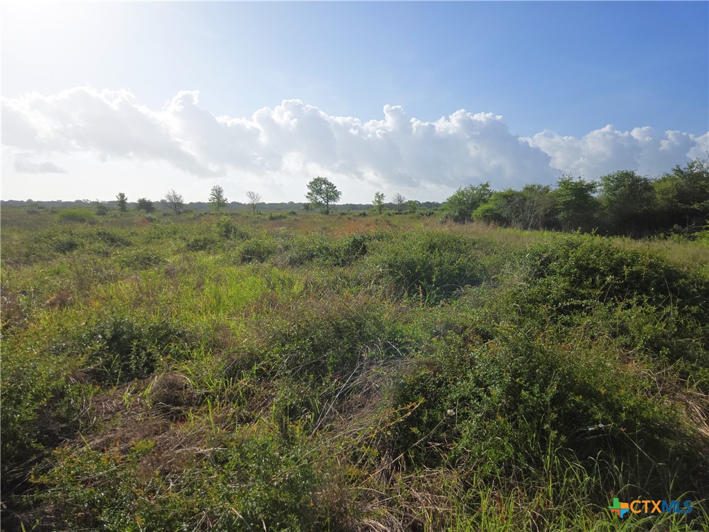 8551 Fm 530 Property Photo 1