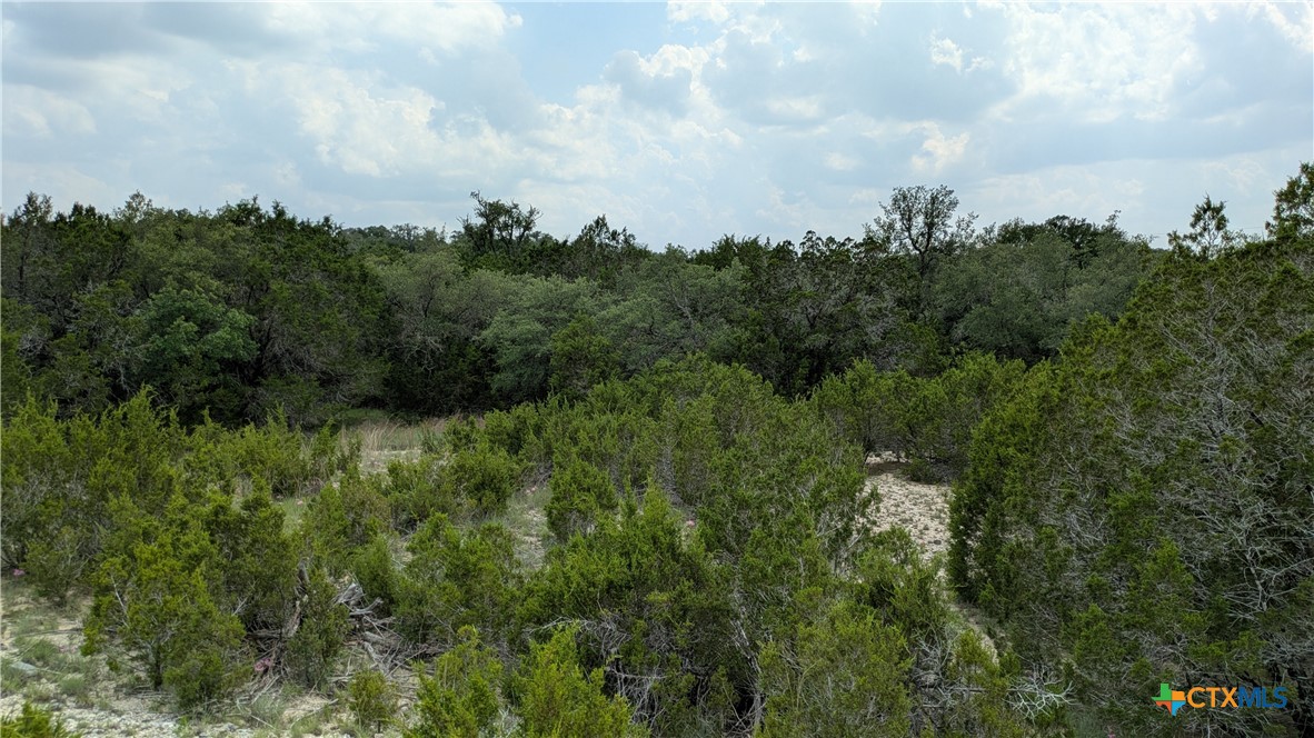 Tract 1 County Road 4390 Property Photo 4