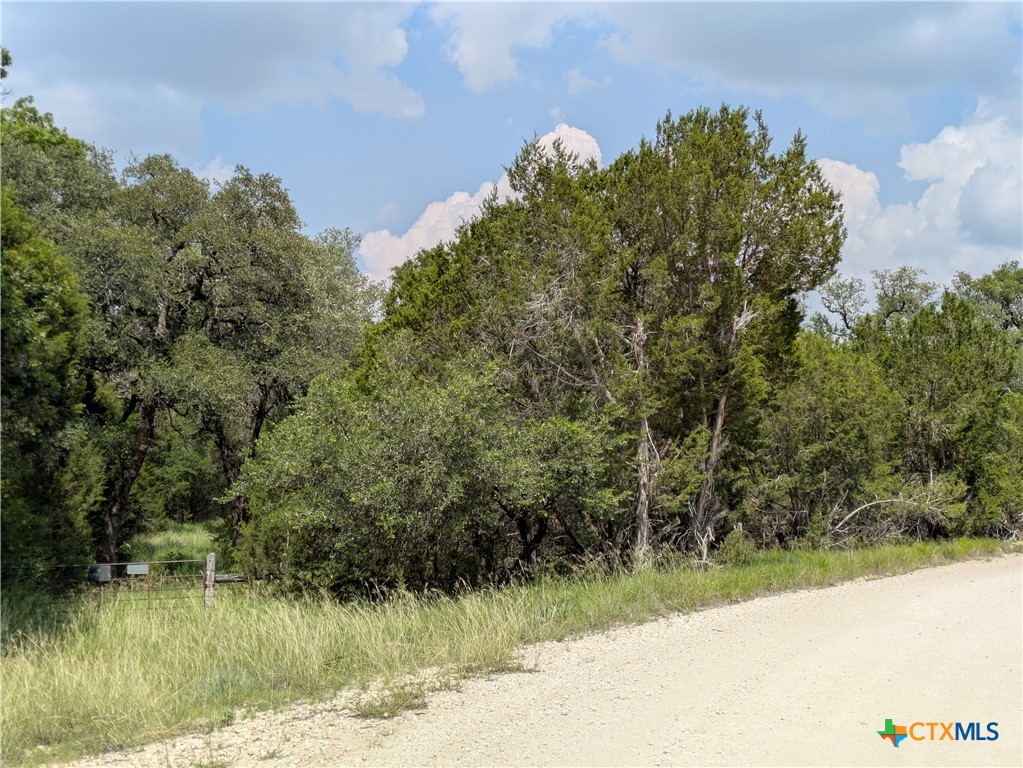 Tract 1 County Road 4390 Property Photo 5