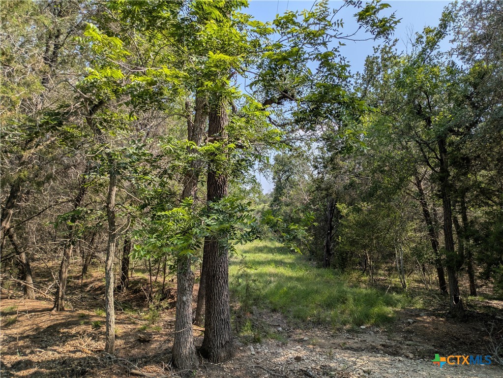 Tract 1 County Road 4390 Property Photo 7