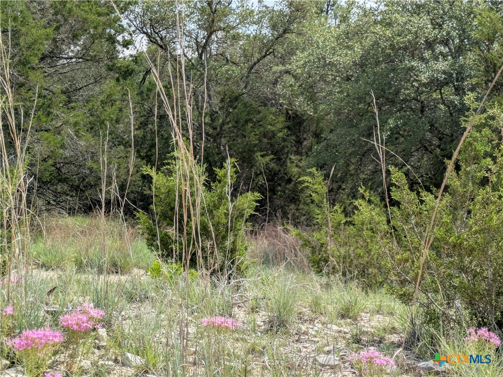 Tract 1 County Road 4390 Property Photo 11
