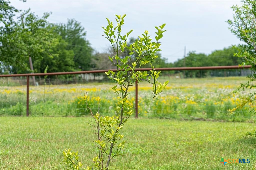 802 Smith Road Property Photo 28