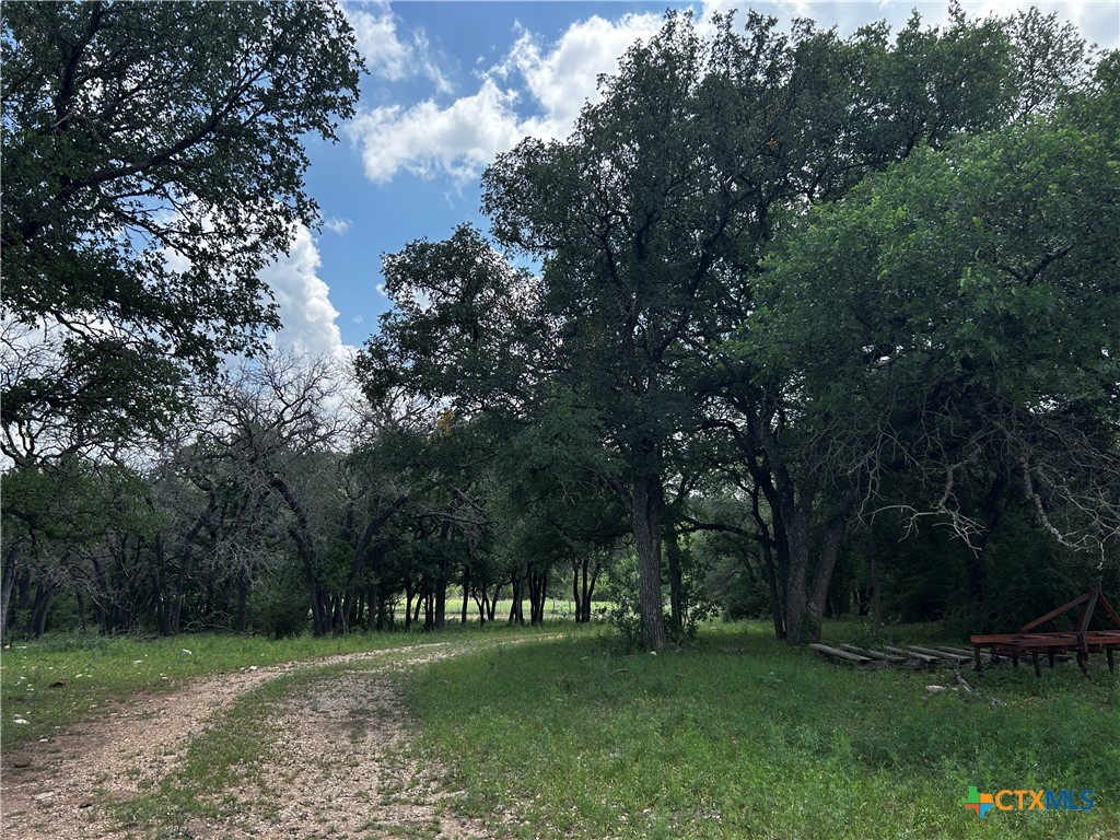 1315 Crossfire Trail Property Photo 1