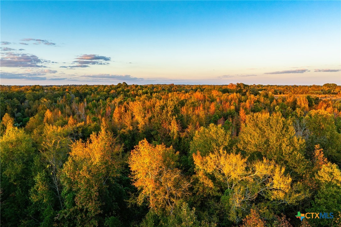 00 County Road 3411 Property Photo 7