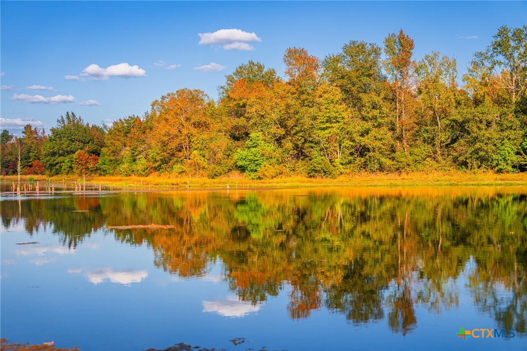 00 County Road 3411 Property Photo 13