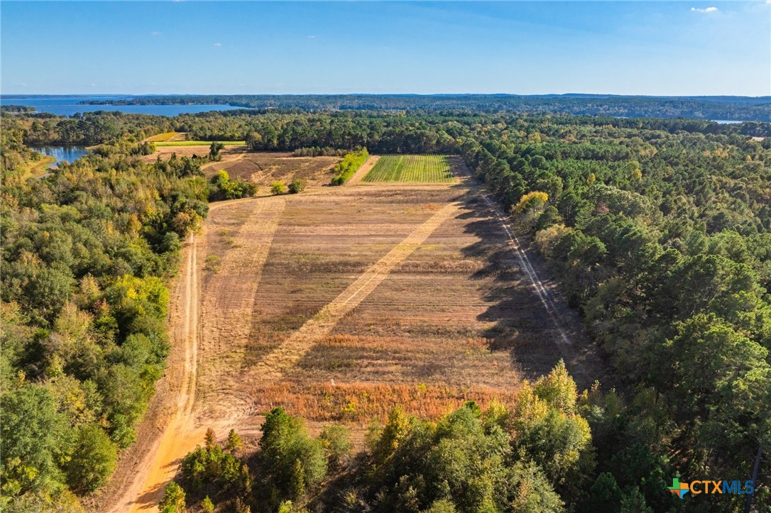00 County Road 3411 Property Photo 19