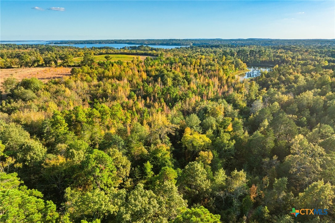 00 County Road 3411 Property Photo 24