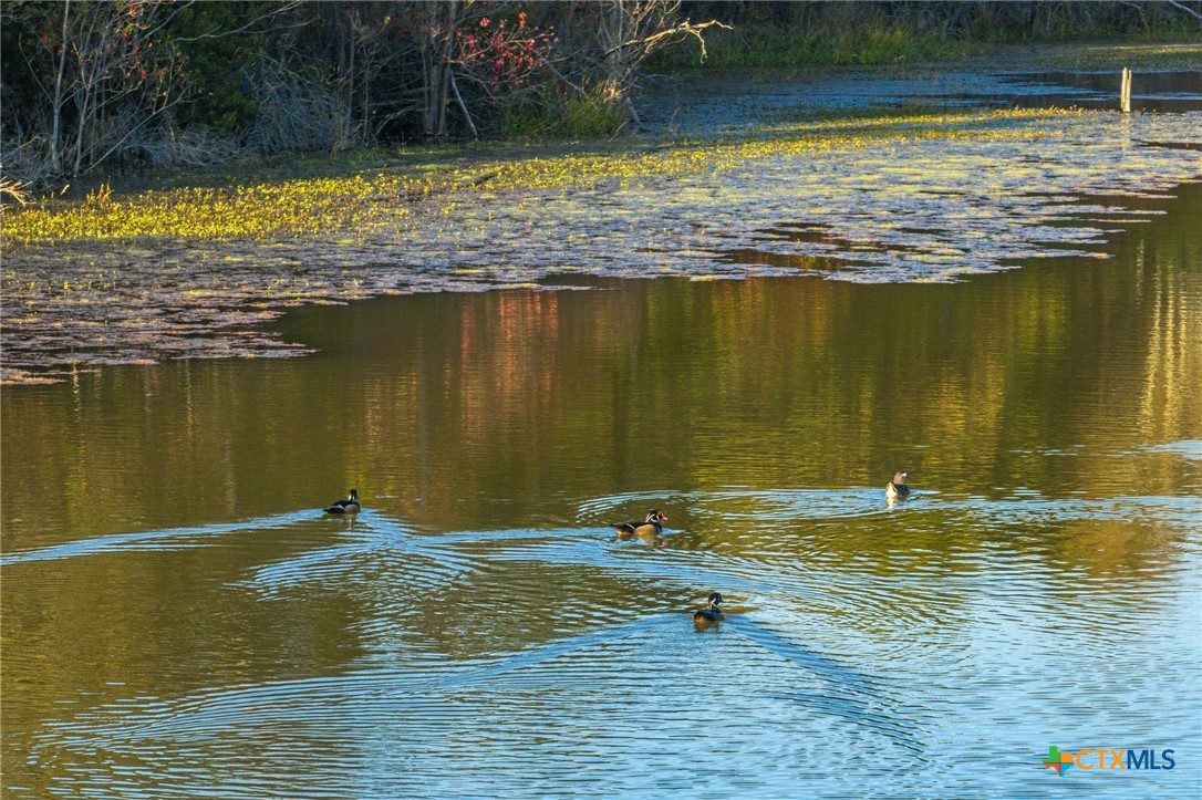 00 County Road 3411 Property Photo 25