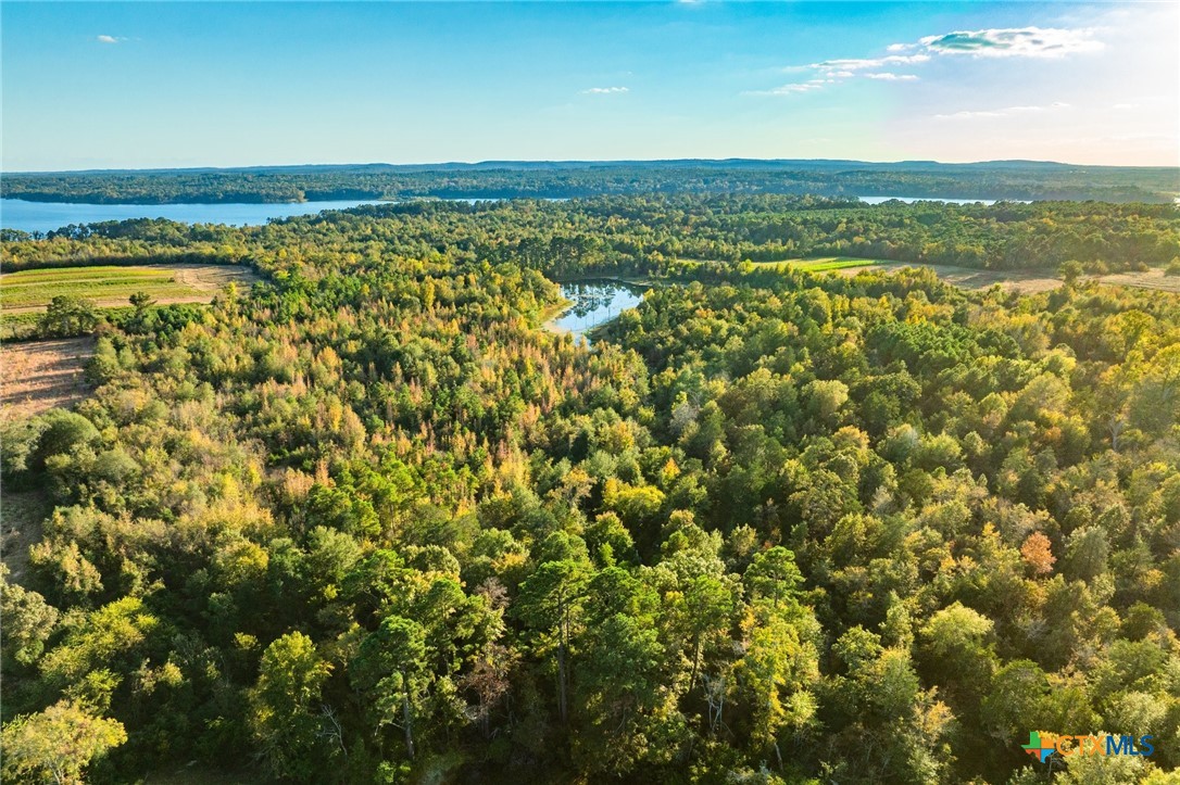 00 County Road 3411 Property Photo 26