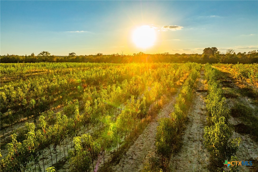 00 County Road 3411 Property Photo 27