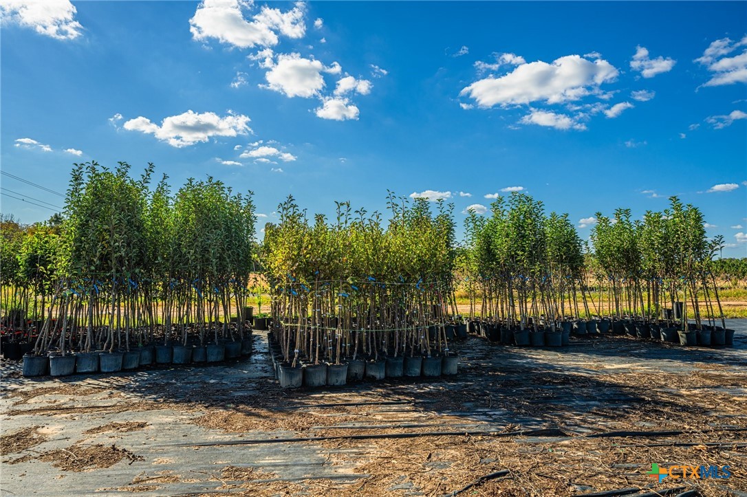 00 County Road 3411 Property Photo 28