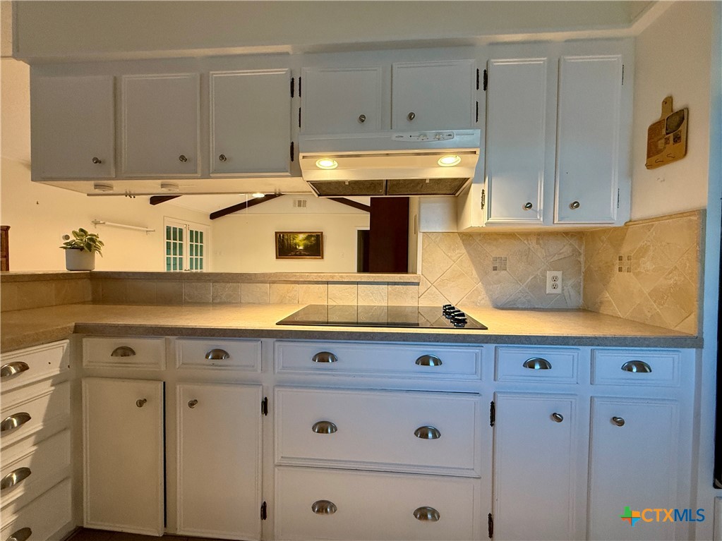 1001 Brookhollow Drive Property Photo 18