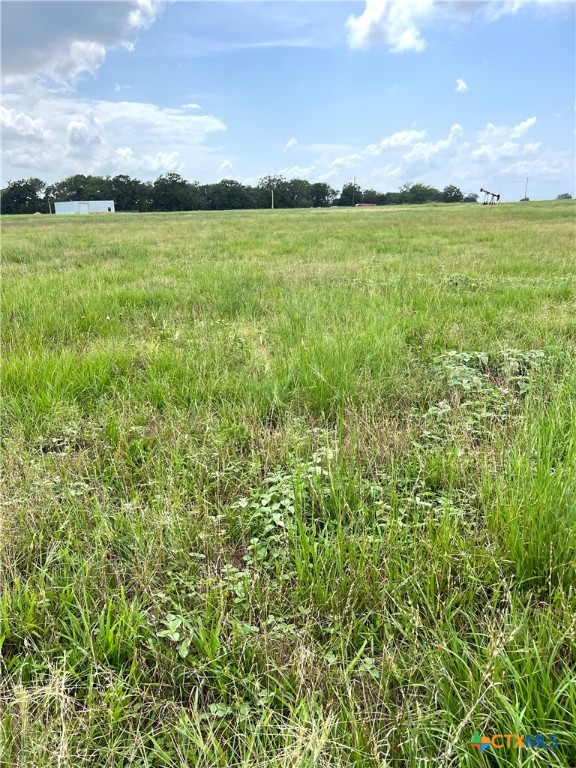 6605 Gander Slough Road Property Photo 3