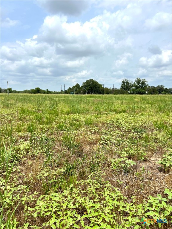 6605 Gander Slough Road Property Photo 9