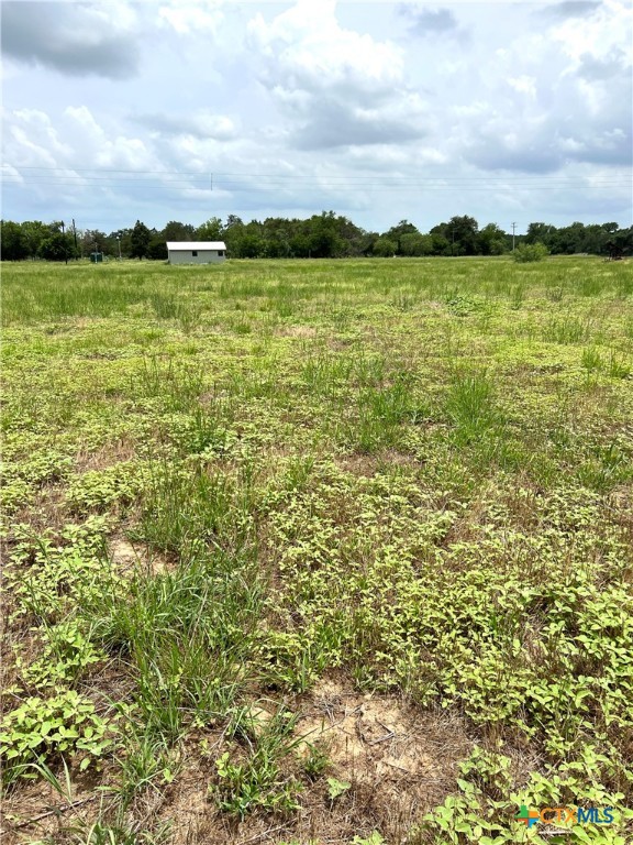 6605 Gander Slough Road Property Photo 11