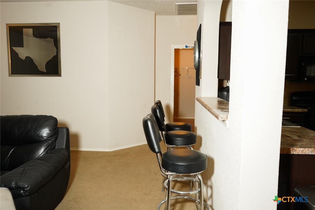 306 Wild Plum Property Photo 11