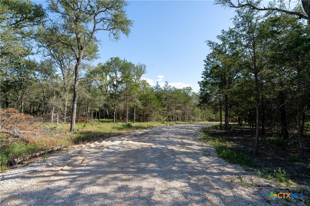 995 Carter Road Property Photo 1