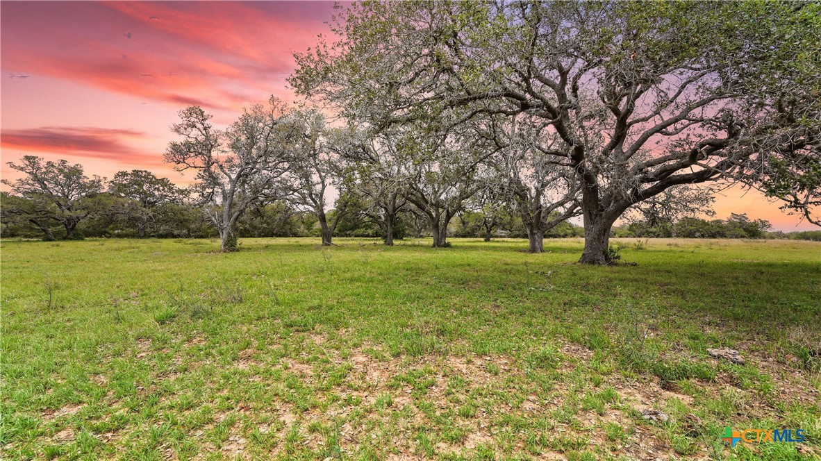 Tbd(ii) Us Hwy 90a East Property Photo 1