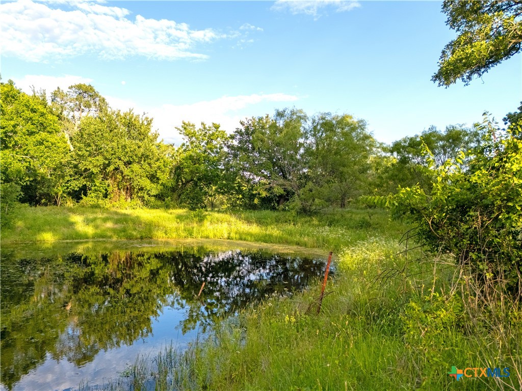980 N League Ranch Road Property Photo 18